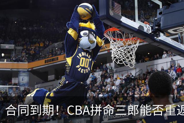 合同到期！CBA拼命三郎能否重返广东？期待辅佐徐杰、胡明轩
